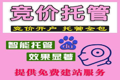 竞价推广实战案例：揭秘优化策略